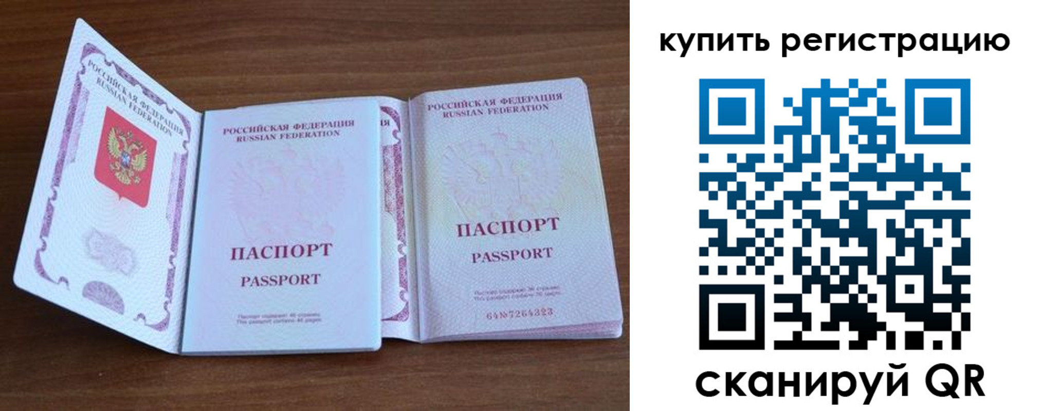 прописка регистрация в Ельне